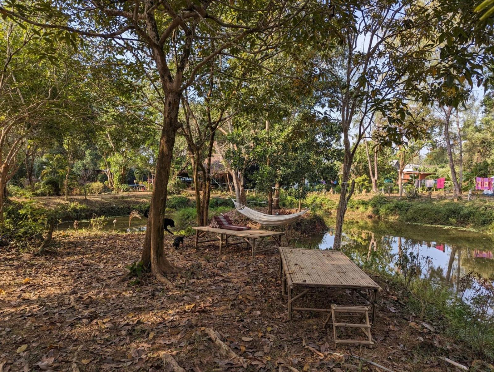 The River Retreat Мак Экстерьер фото